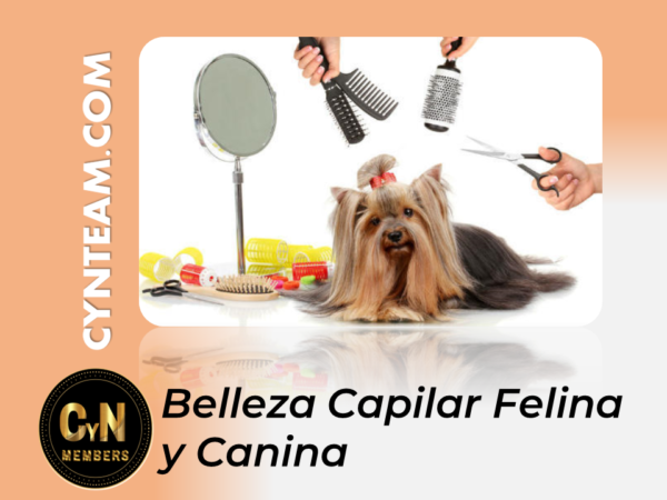 Belleza Capilar Felina y Canina Belleza Capilar Felina y Canina