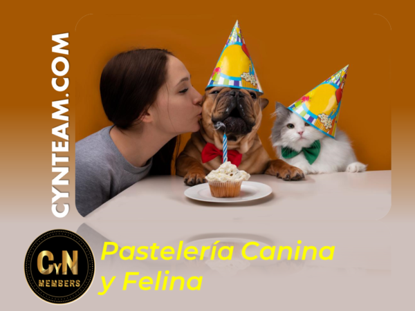Pasteleria Canina y Felina Pasteleria Canina y Felina