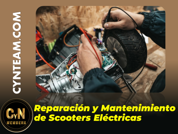 Reparacion y Mantenimiento de Scooters Electricas Reparacion y Mantenimiento de Scooters Electricas